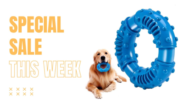 Pet Products